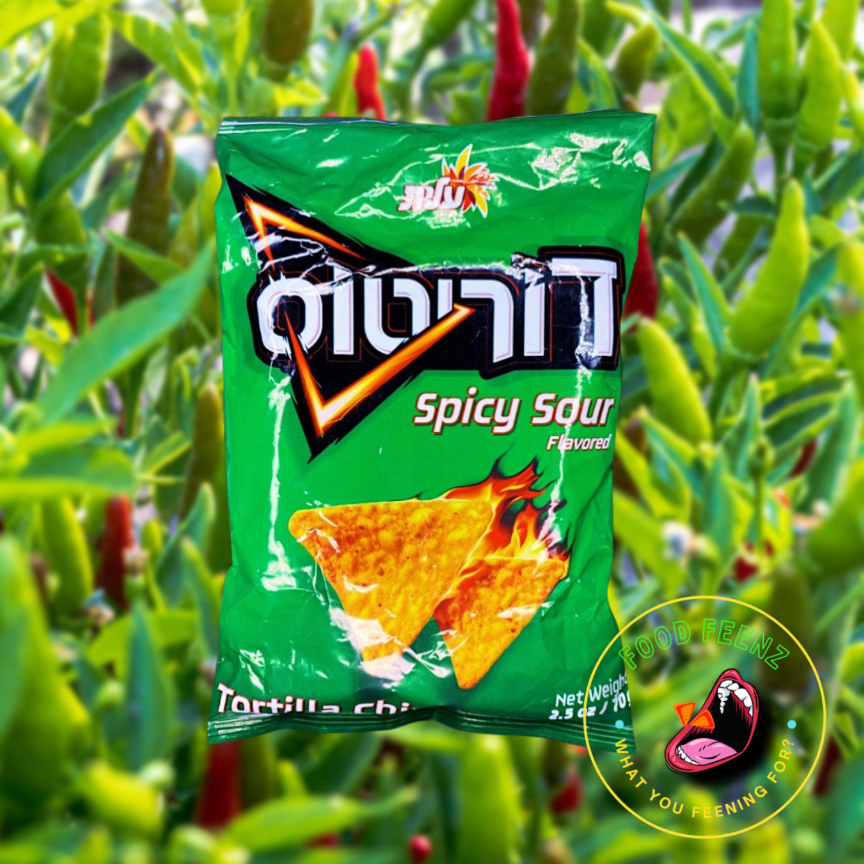 Doritos Spicy Sour (Israel)