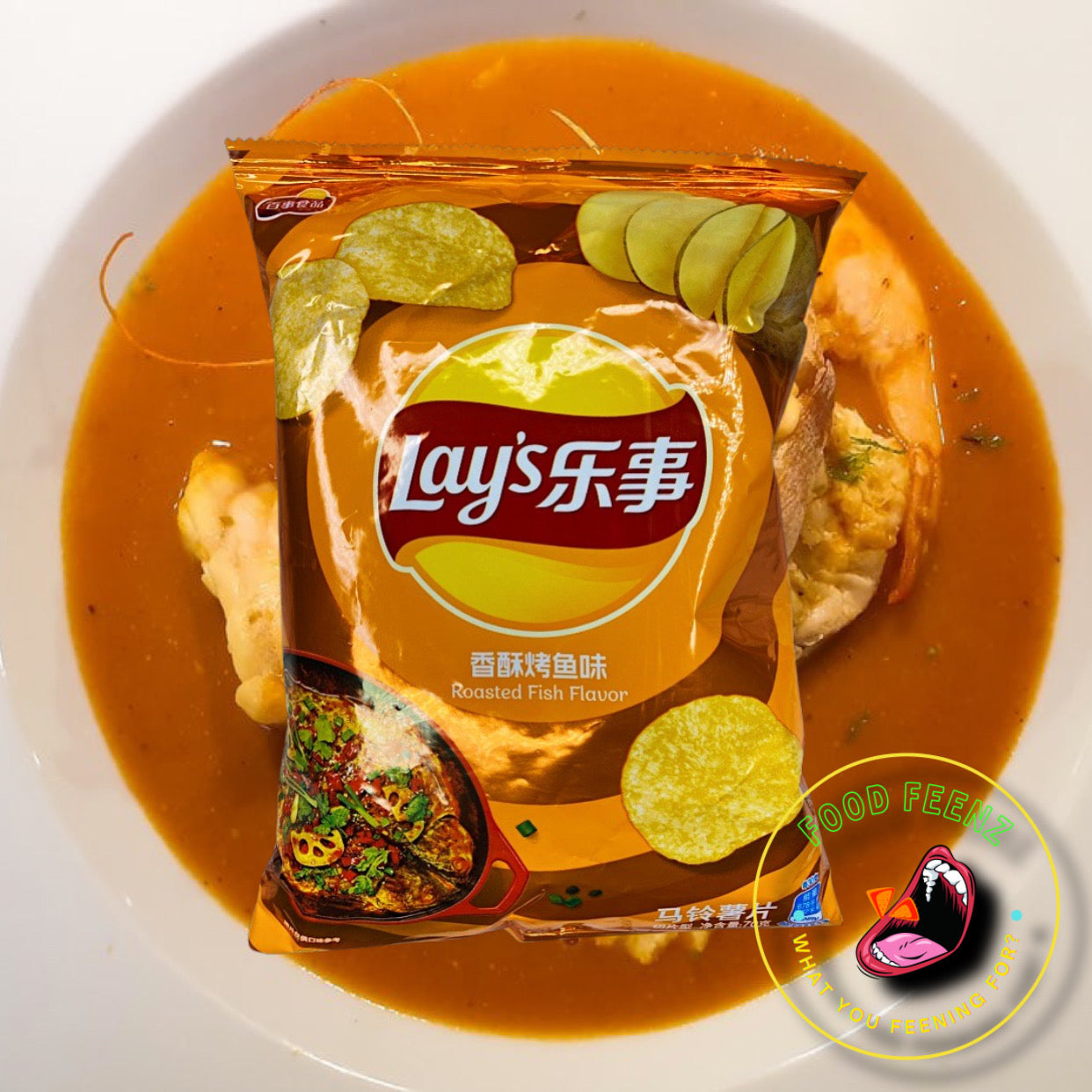 Lay's Roasted Fish Flavor (China)