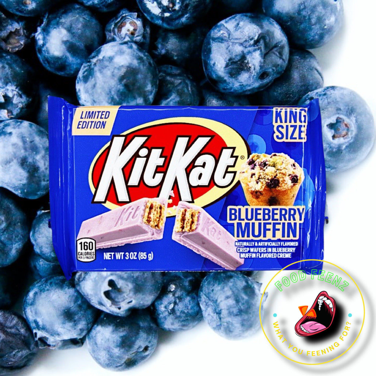 Kit Kat Blueberry Muffin (Limited Edition)