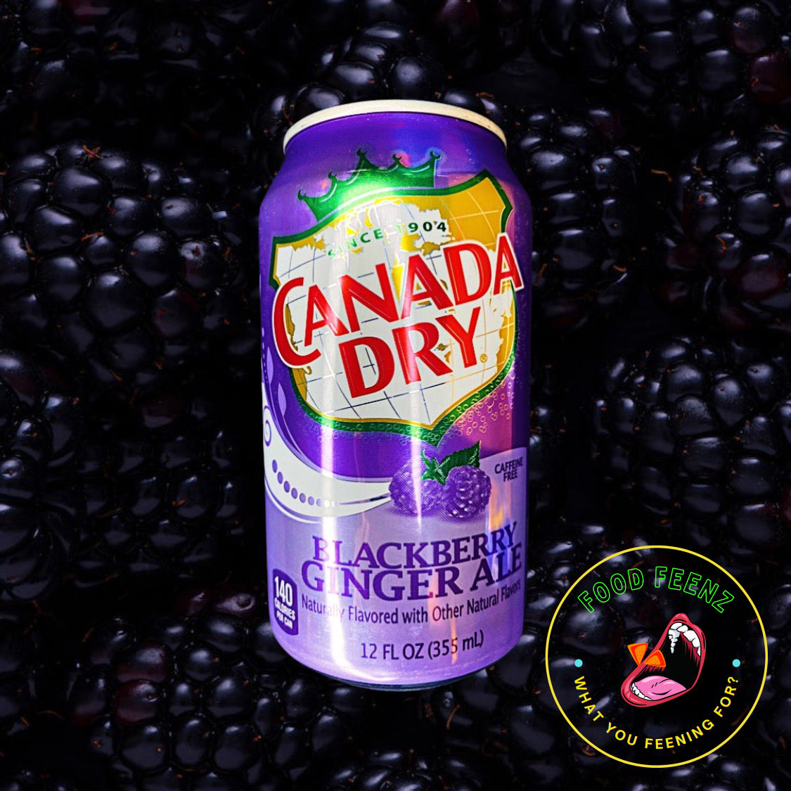 Canada Dry Black Berry Ginger Ale